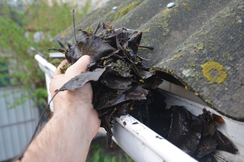 Removing Debris from Gutters
