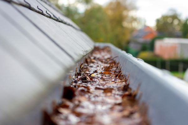Commercial Gutter Cleaning in Encinitas