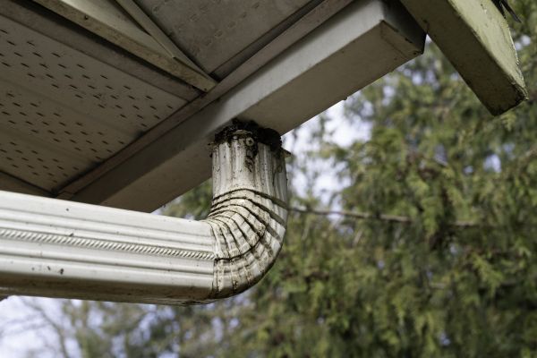Downspout Cleaning in Encinitas