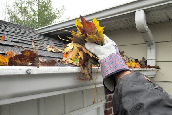 Leaf Gutter Cleaning in Encinitas