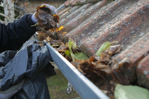 Commercial Gutter Unclogging in Encinitas