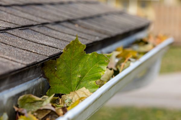 Commercial Downspout Cleaning in Encinitas