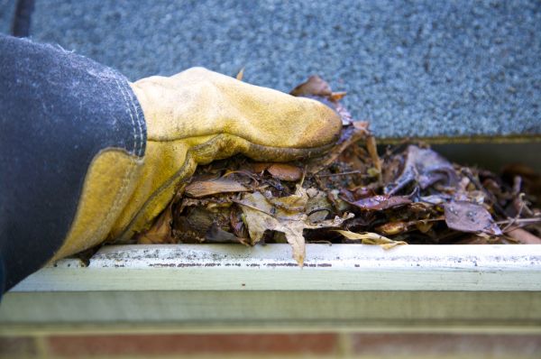 Cost of Jammed Gutter Cleaning in Encinitas