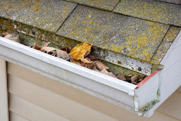 Cost of Garage Gutter Cleaning in Encinitas
