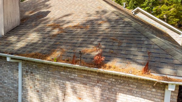Cost of Gutter Pine Needle Removal in Encinitas